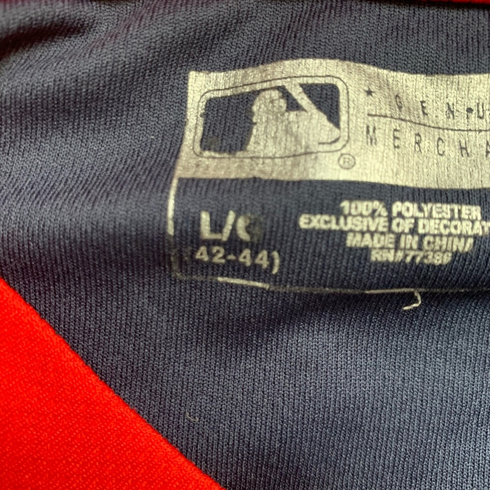 Minnesota twins shirt